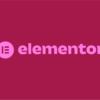 Elementor PRO – Website Builder and Visual Design System